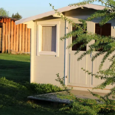 Willemi Camping * Kaasiku